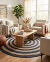 Braided Jute Handmade Area Rug Concentric Border