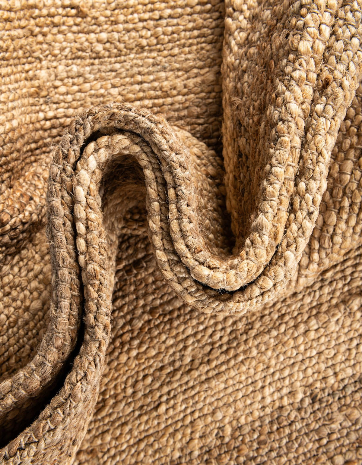 RR-COLOR|Ivory and Natural